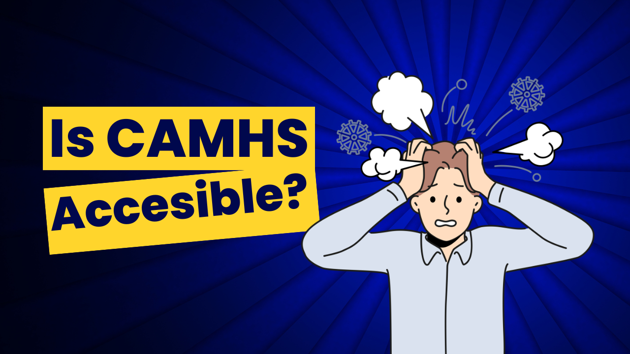 The CAMHS Reports 2024 On The Matter of Access